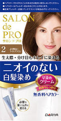 Dariya Salon de Pro gray hair cream colour 2 - J Mart